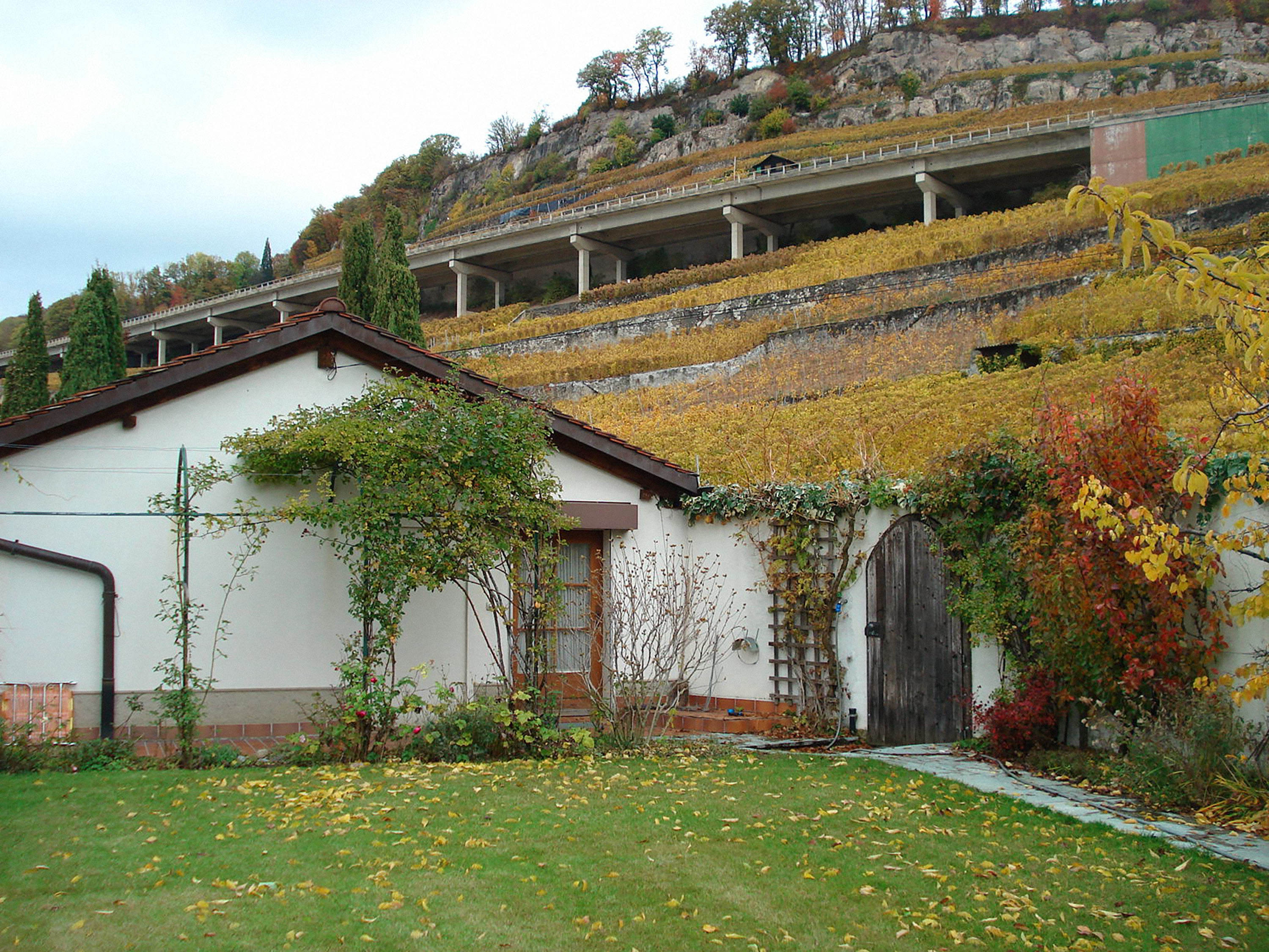 0921_villa_chardonne-exterieur-archive-8