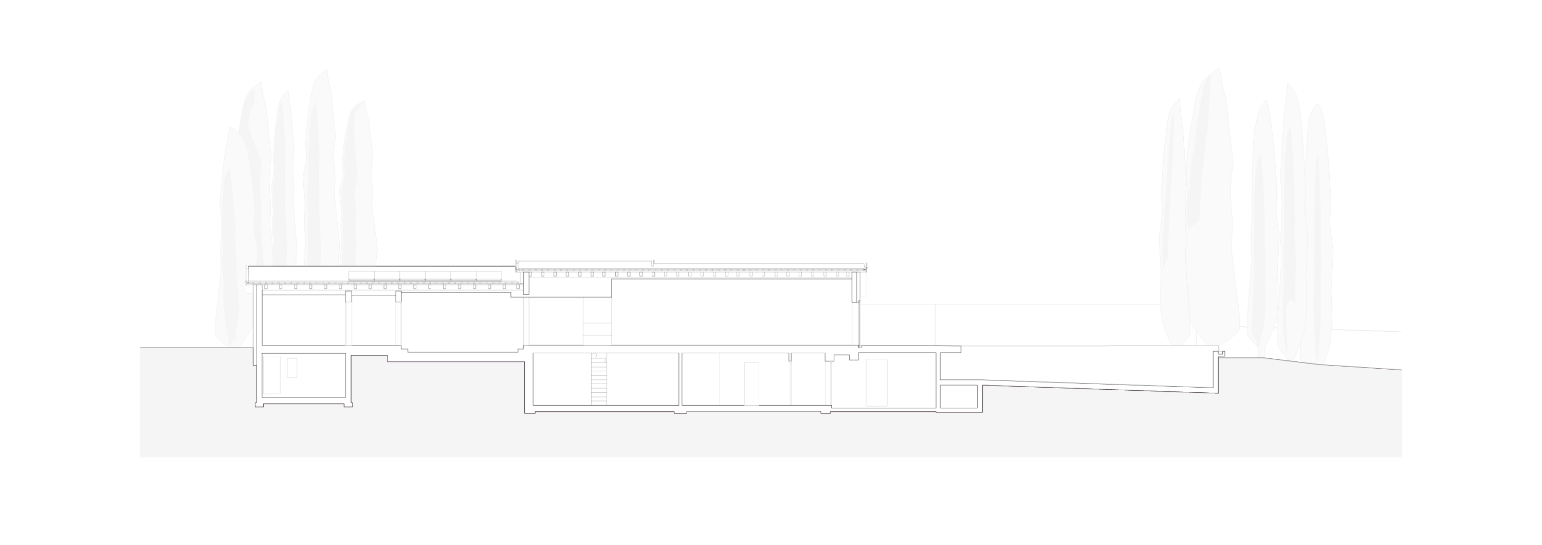 0921_villa_chardonne-plan-coupe