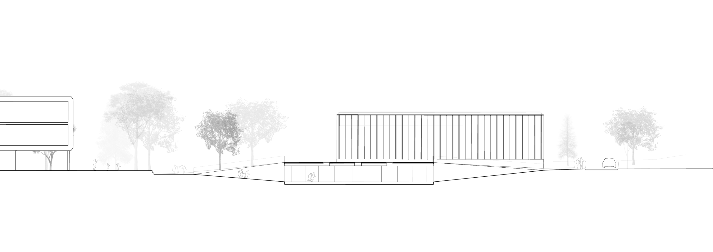 1510_Piscine_St_Prex-plan-coupe
