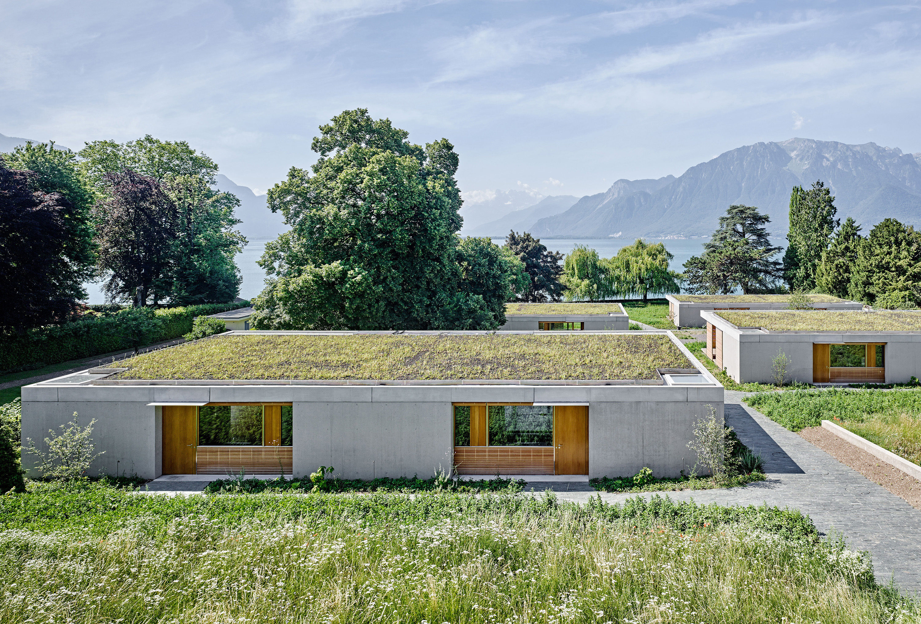 0626-Becque_tour_de_peilz-exterieur©Roger_Frei-2