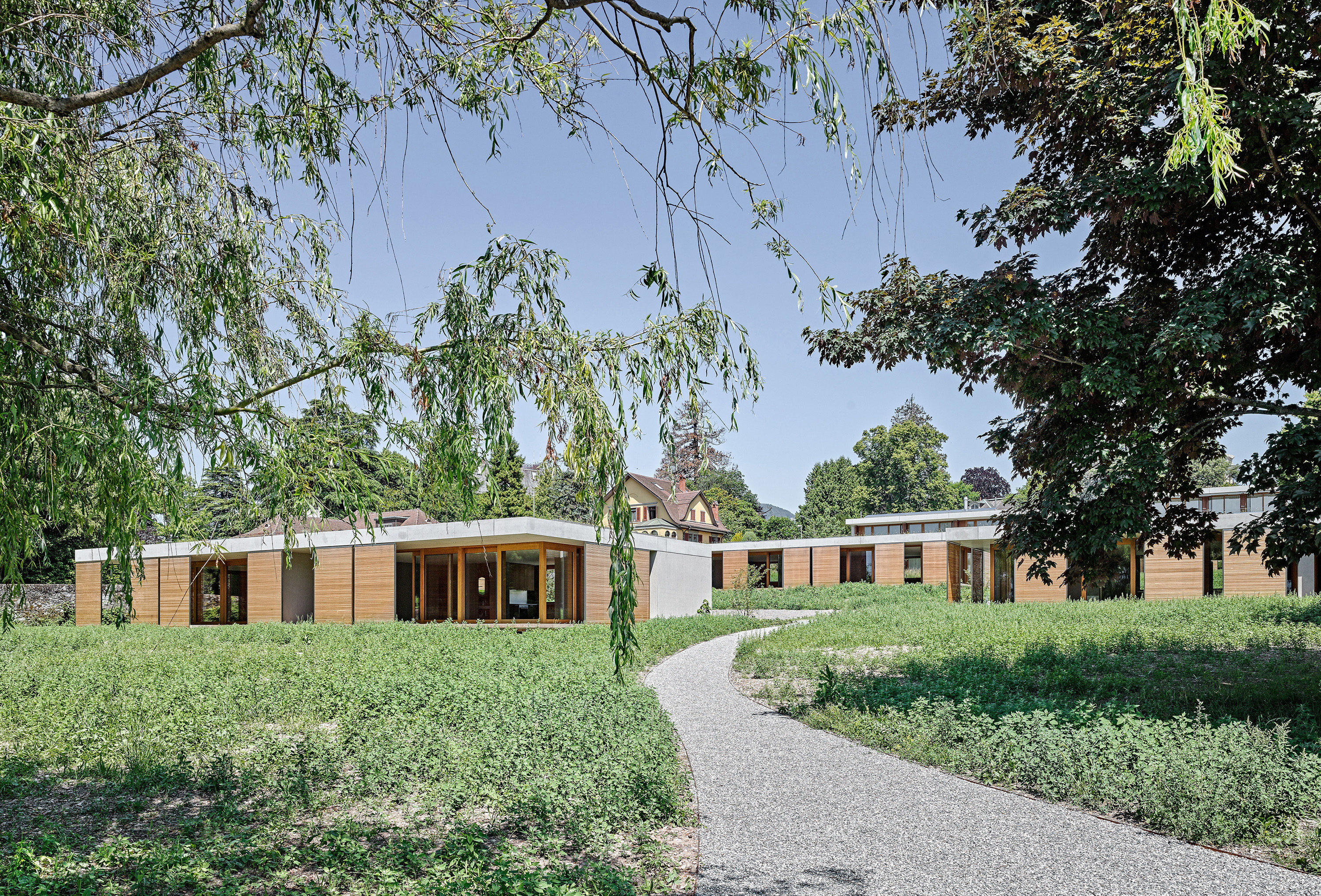 0626-Becque_tour_de_peilz-exterieur©Roger_Frei-3