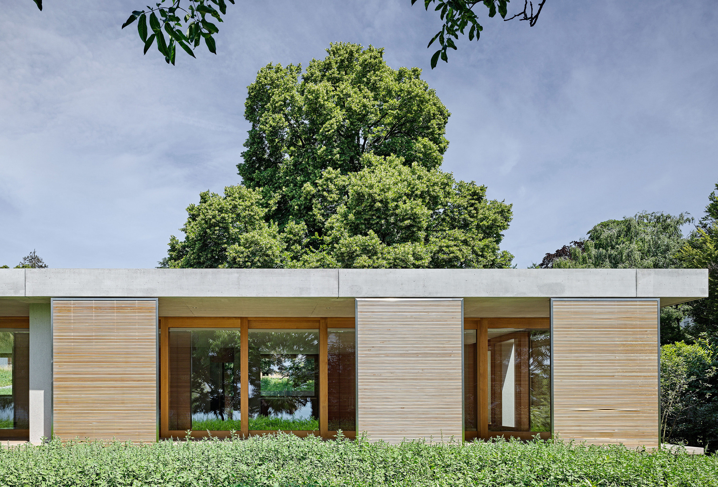 0626-Becque_tour_de_peilz-exterieur©Roger_Frei-4