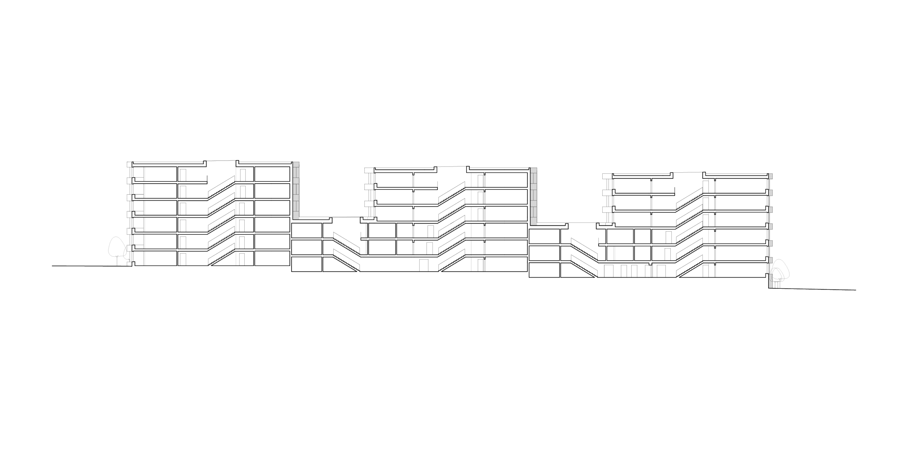 1713-piece_urbaine_B_plaines_du_loup-plan-coupe_long