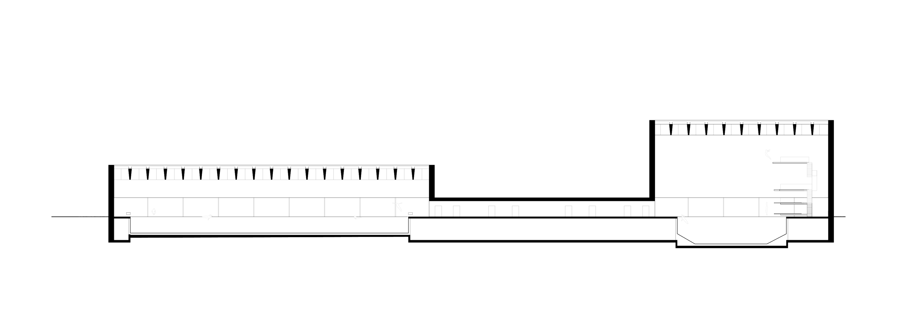 1630_centre_natation_tenero-plan-coupe_long