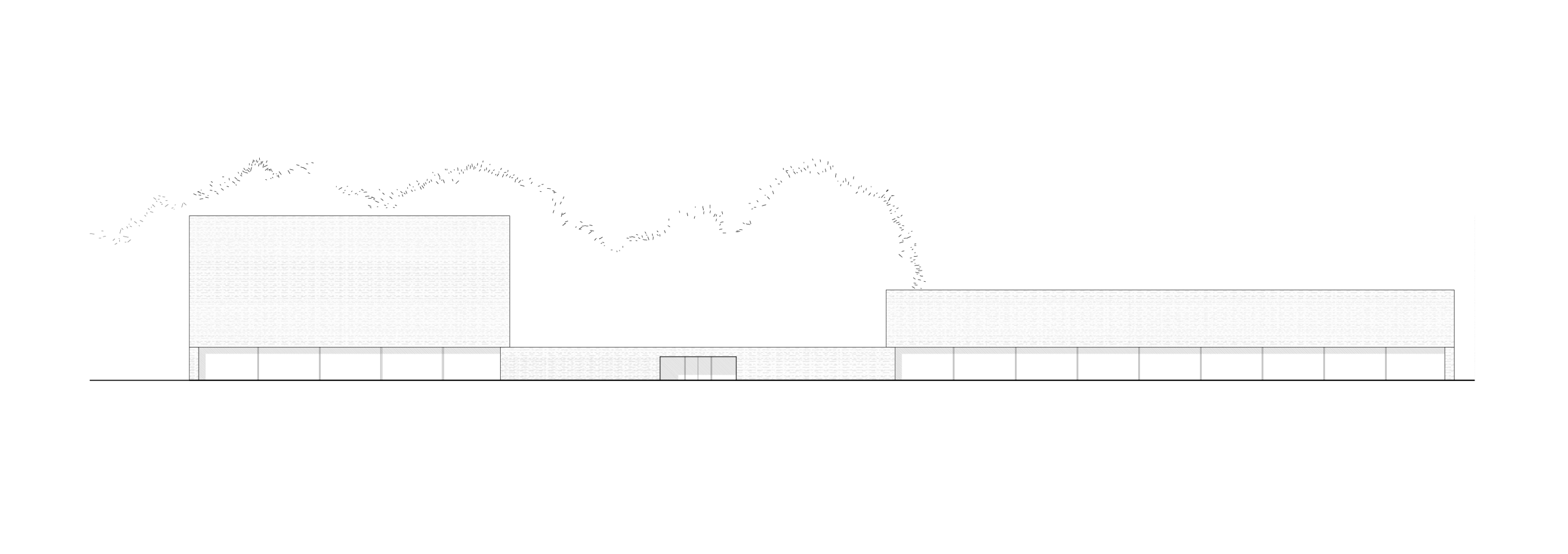 1630_centre_natation_tenero-plan-elev_est