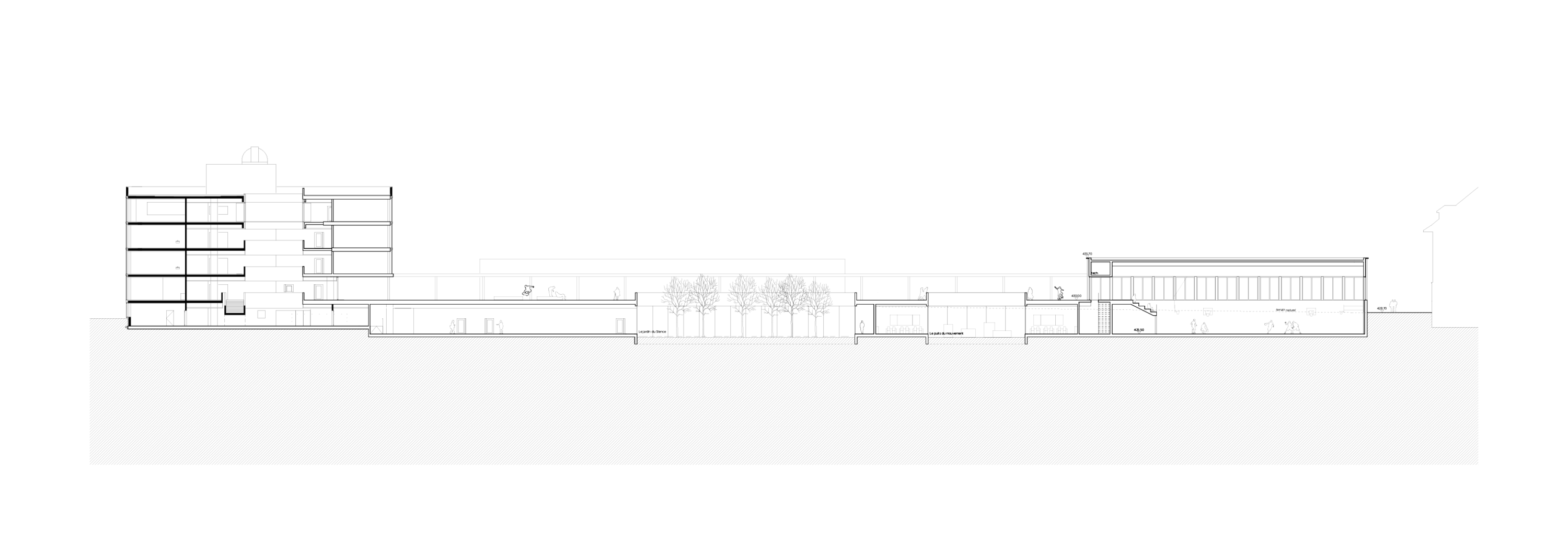 2023-Salle_sport_Marcelin-plan-coupe_long