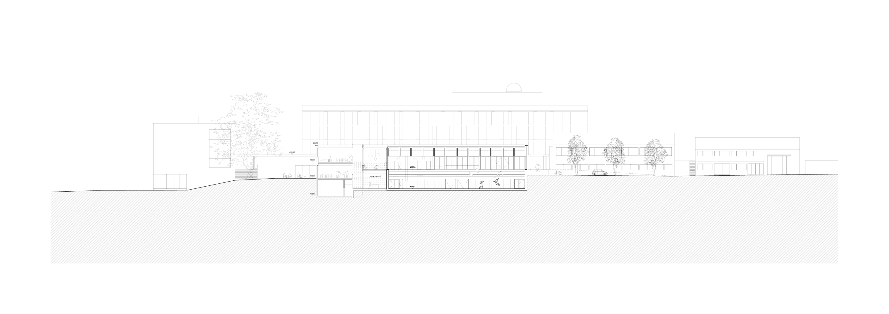 2023-Salle_sport_Marcelin-plan-coupe_trans
