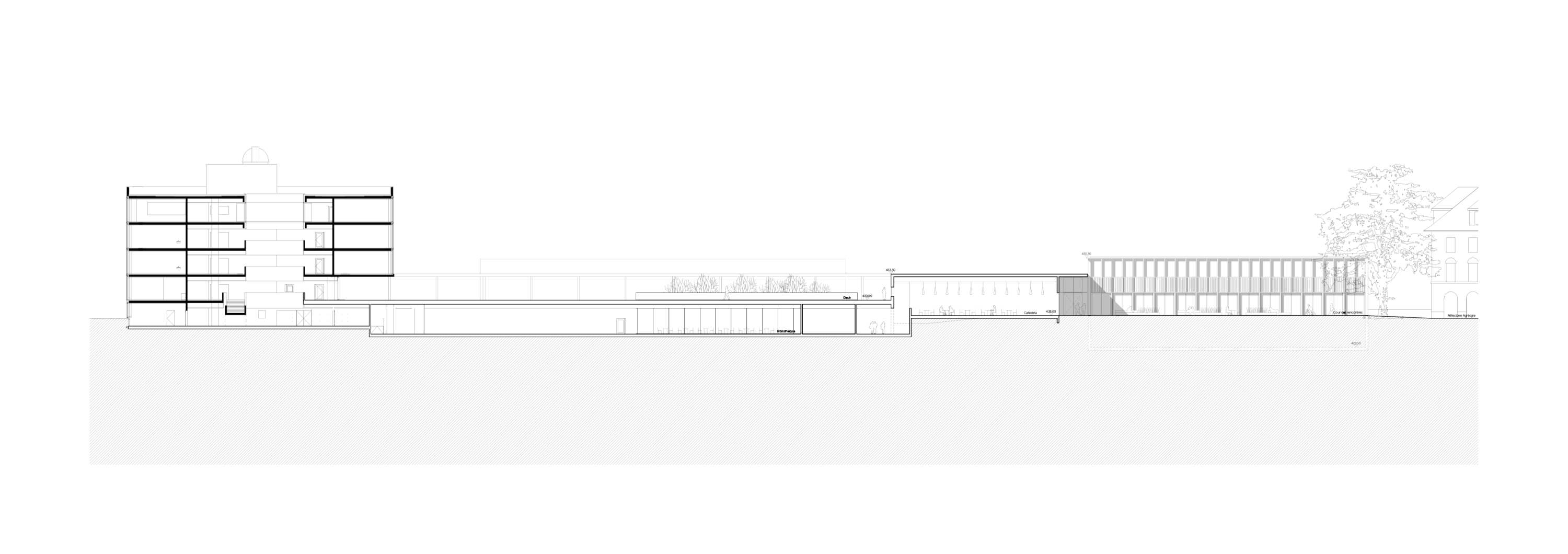 2023-Salle_sport_Marcelin-plan-elev