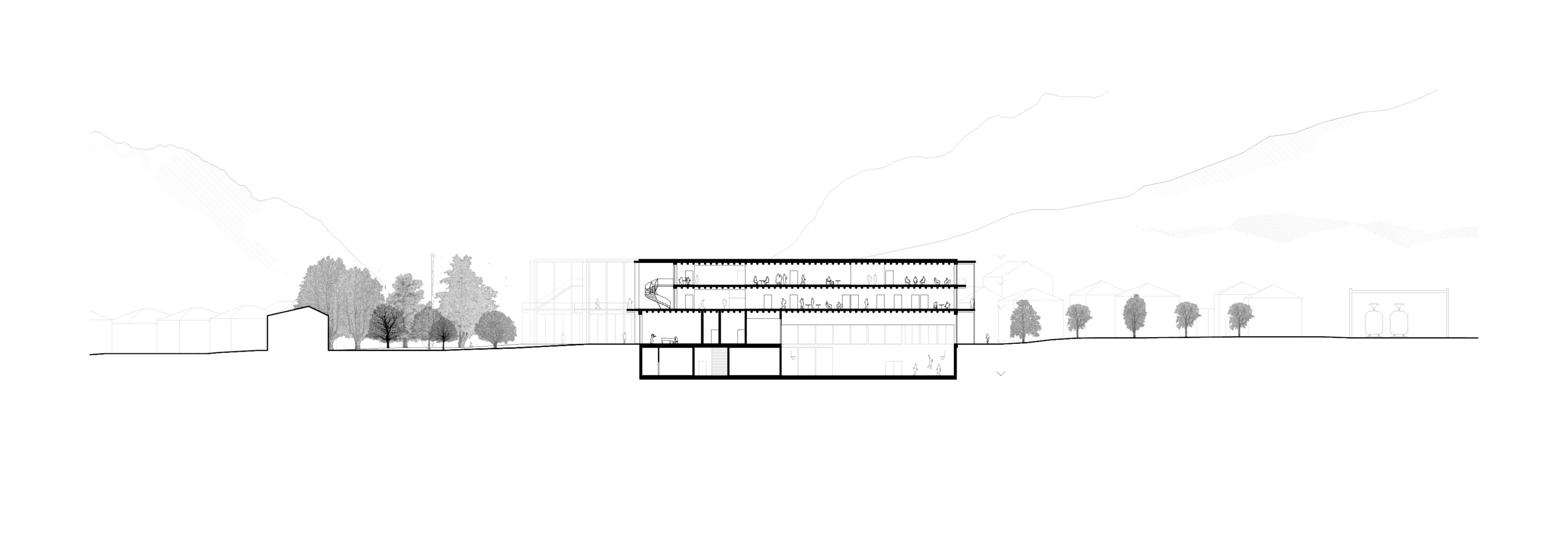 2019_nouv_gymnase_aigle-plan-coupe_trans