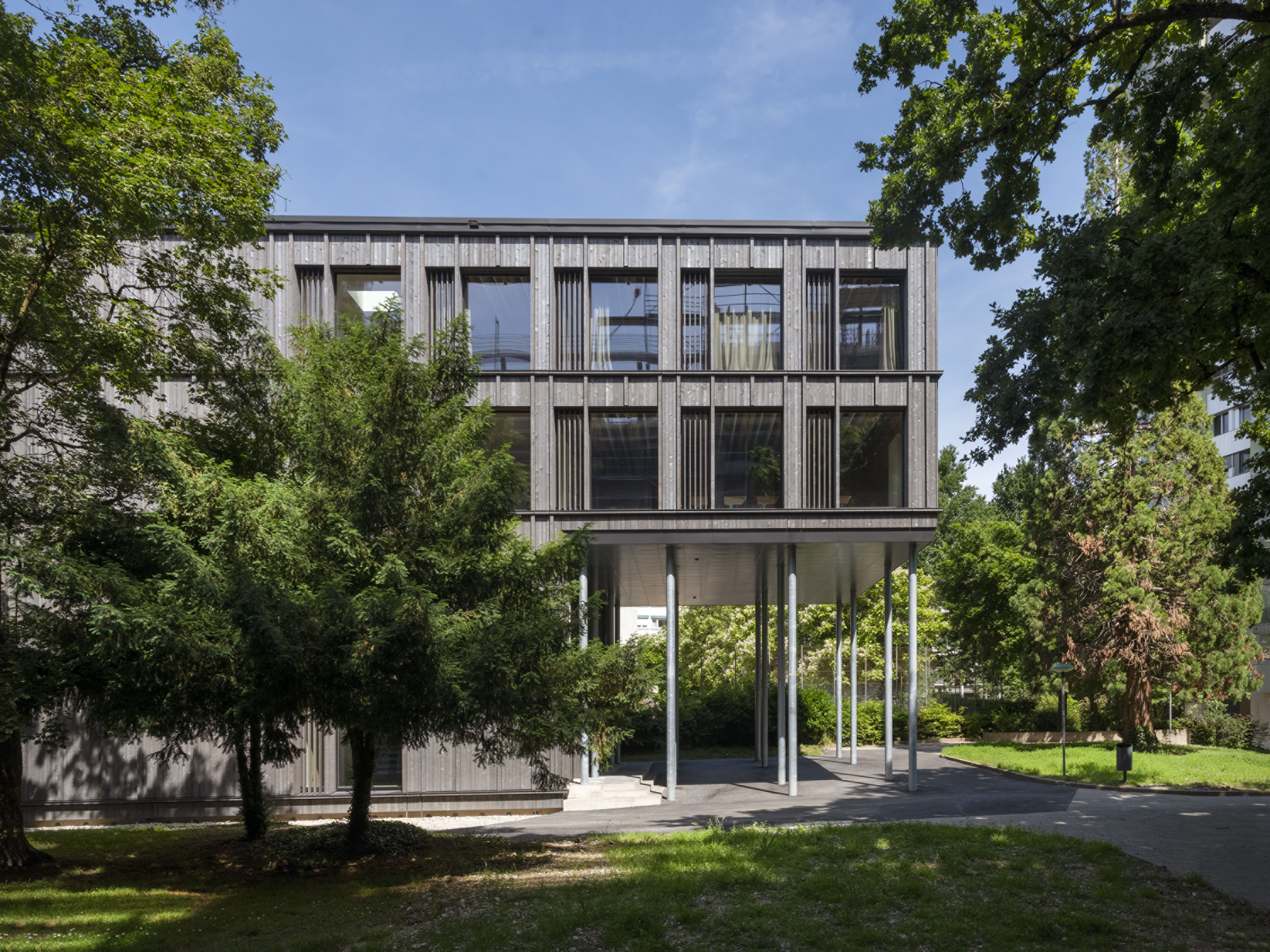 NZ_Vieusseux6828 copie