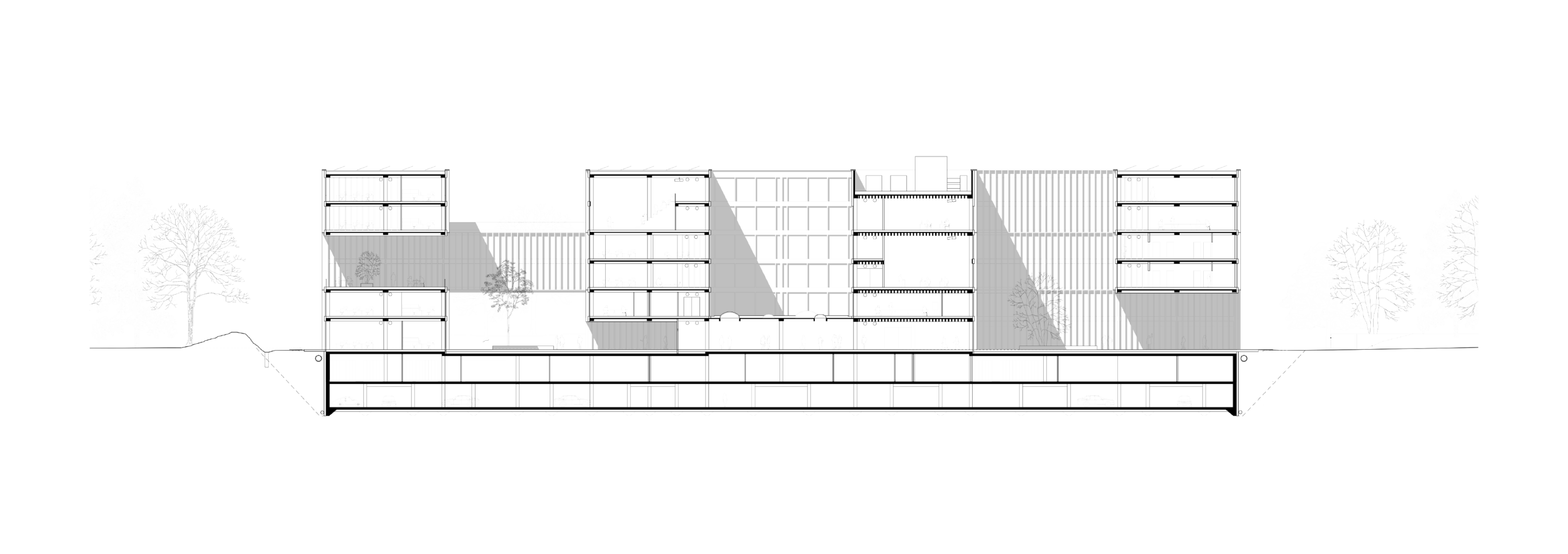 1915-centre_ddps_berne-plan-coupe_long