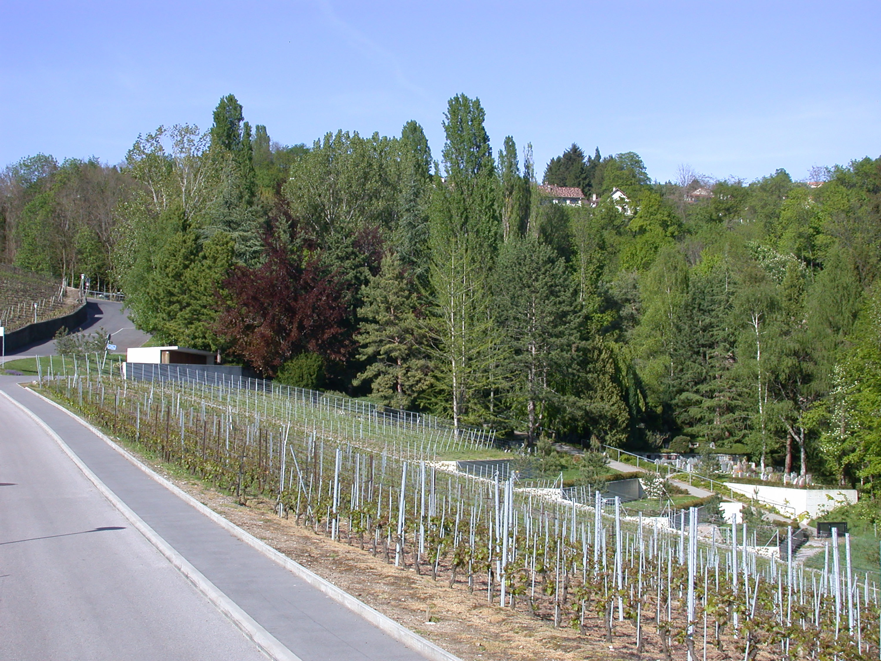 9908-entree_cimetiere_lutry-©PONT12-3