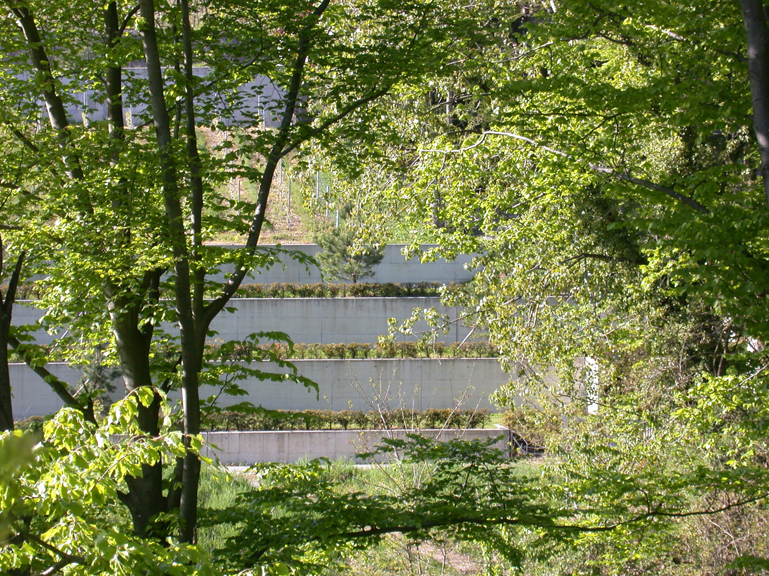 9908-entree_cimetiere_lutry-©PONT12-5