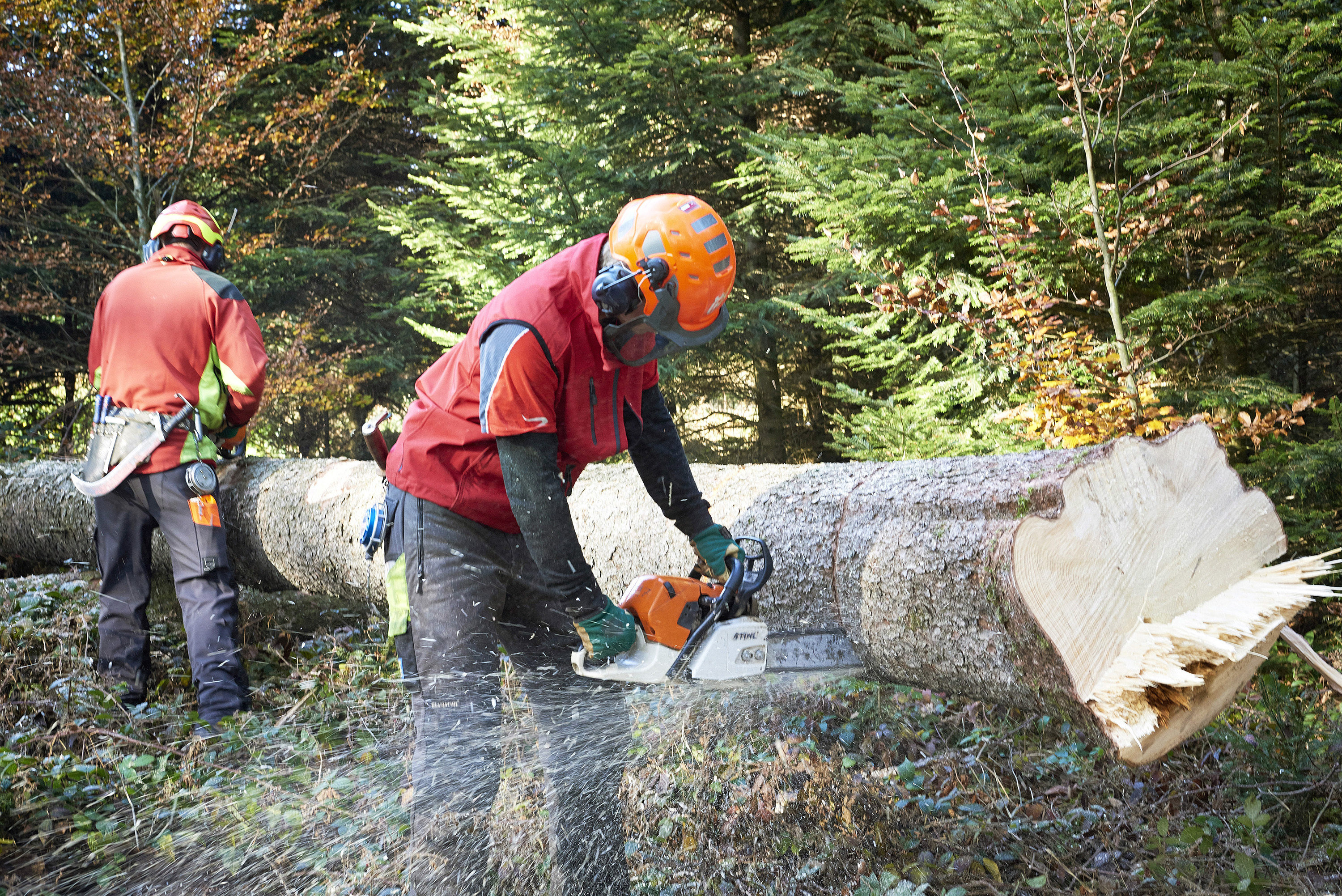 1536-Chalet à Gobet_Ecurie-coupe_bois-©Remy_Gindroz-9