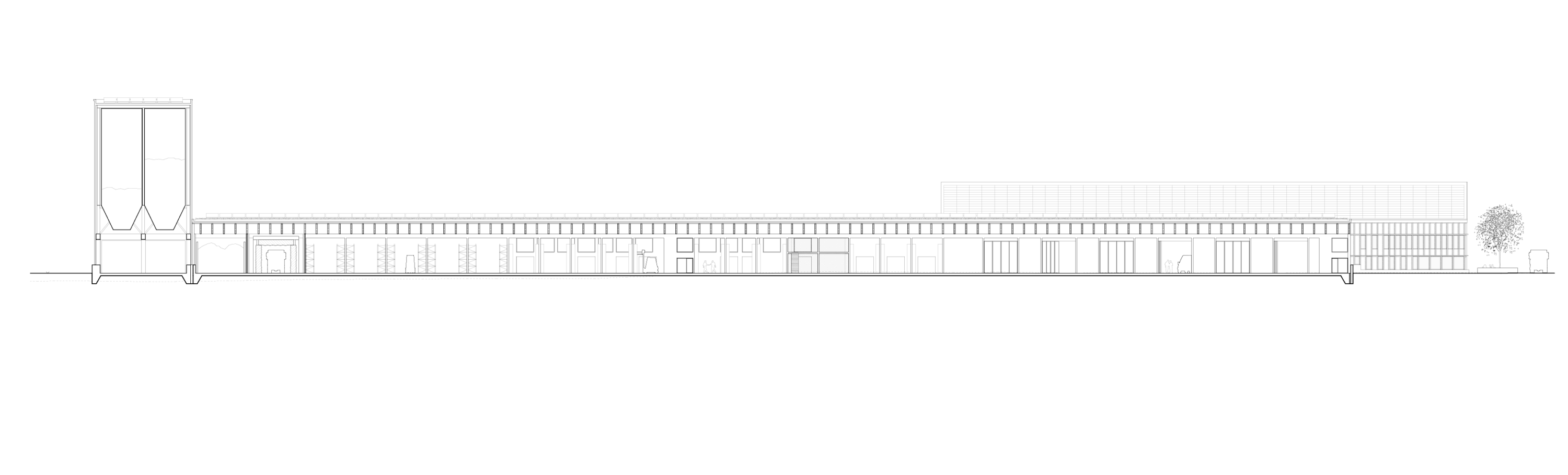 2304_coupe longitudinale