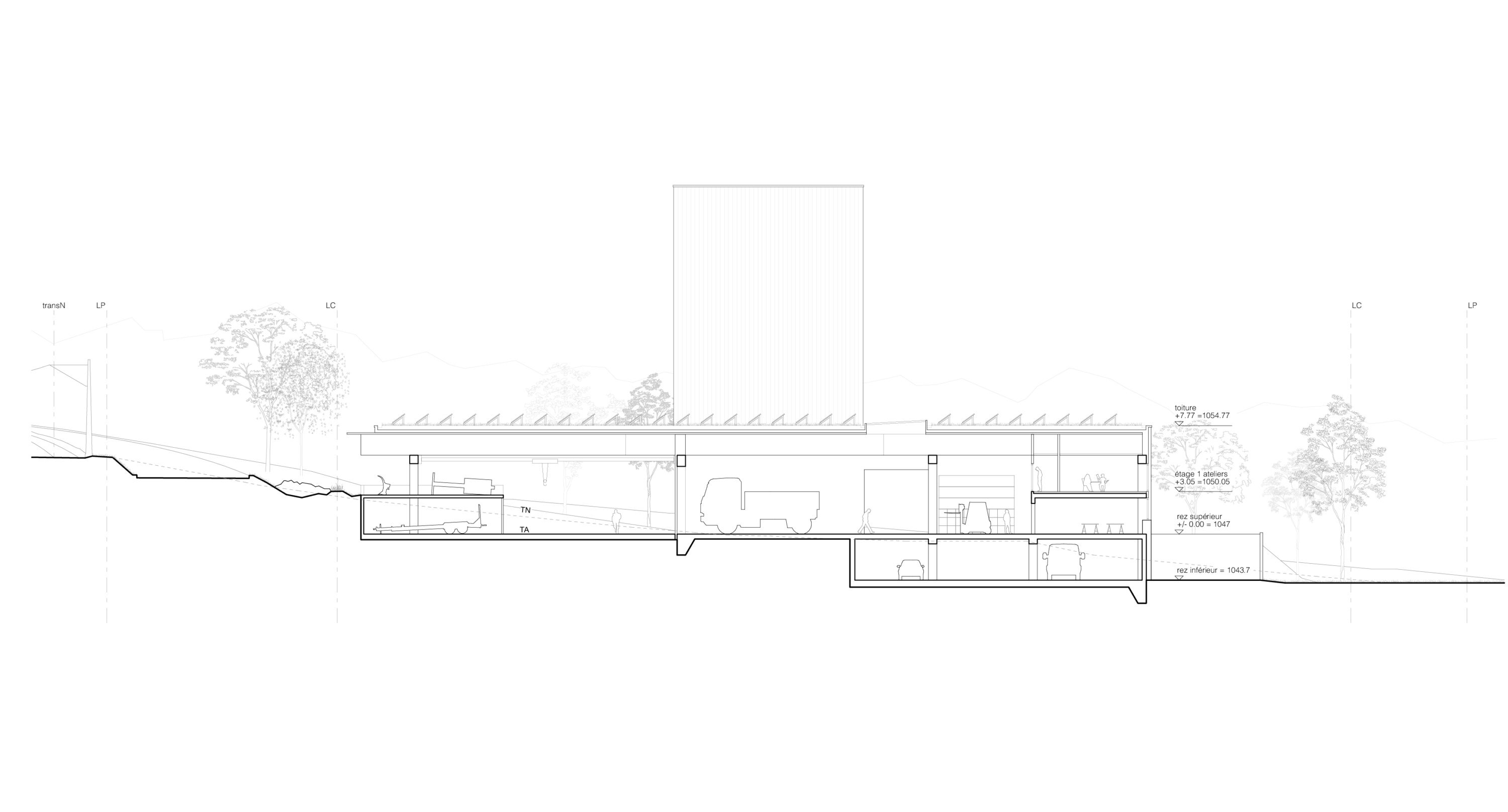 2304_coupe transversale